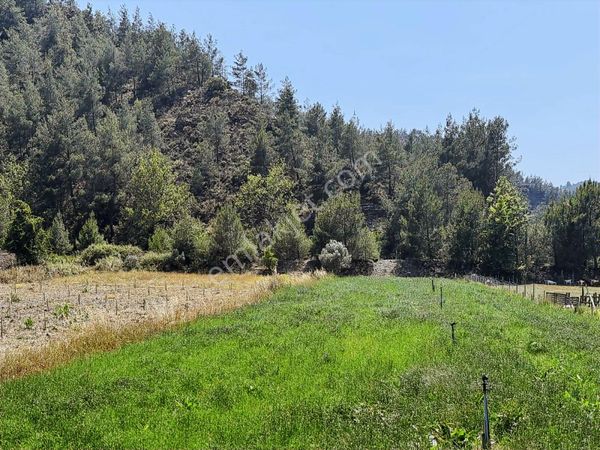 Büyükyoncalı Satılık Arsalar