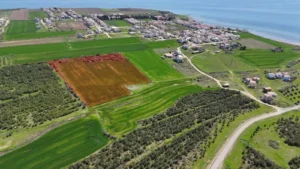Çerkezköy Tarla Fiyatları
